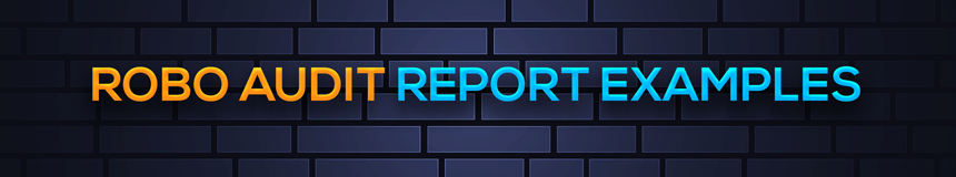 robo-audit-report-examples