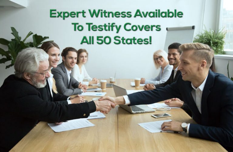 Securitization Audit, Mortgage Securitization, Mortgage Auditing Program