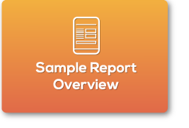 sample-report