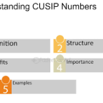 Step-by-Step Cusip