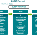 Mastering Cusip Research