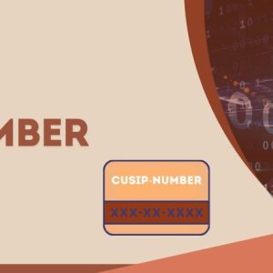 The Ultimate Handbook