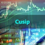 CUSIP Research Explained