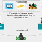 Home Loan Securitization Fraud: