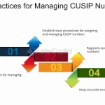 Top Tools for Analysts Using CUSIP Research in Securitization