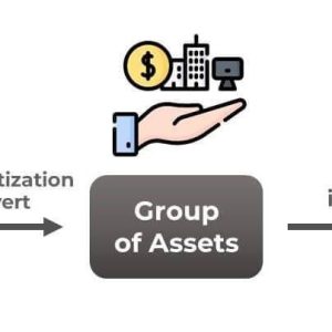 Home Loan Securitization Fraud: