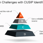 How Transparency Improves with Cusip Research Securitization