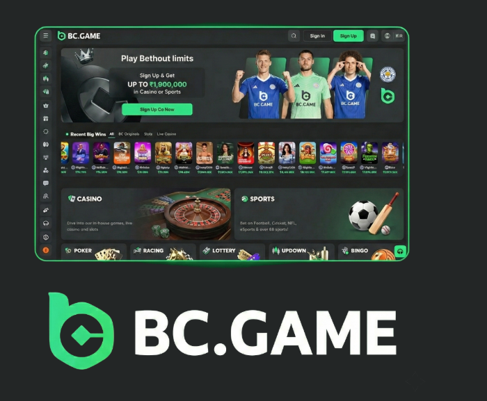 Comprehensive BC.Game Bonus Code Guide Unlock Your Gaming Potential -330289197 Comprehensive BC.Game Bonus Code Guide Unlock Your Gaming Potential -330289197